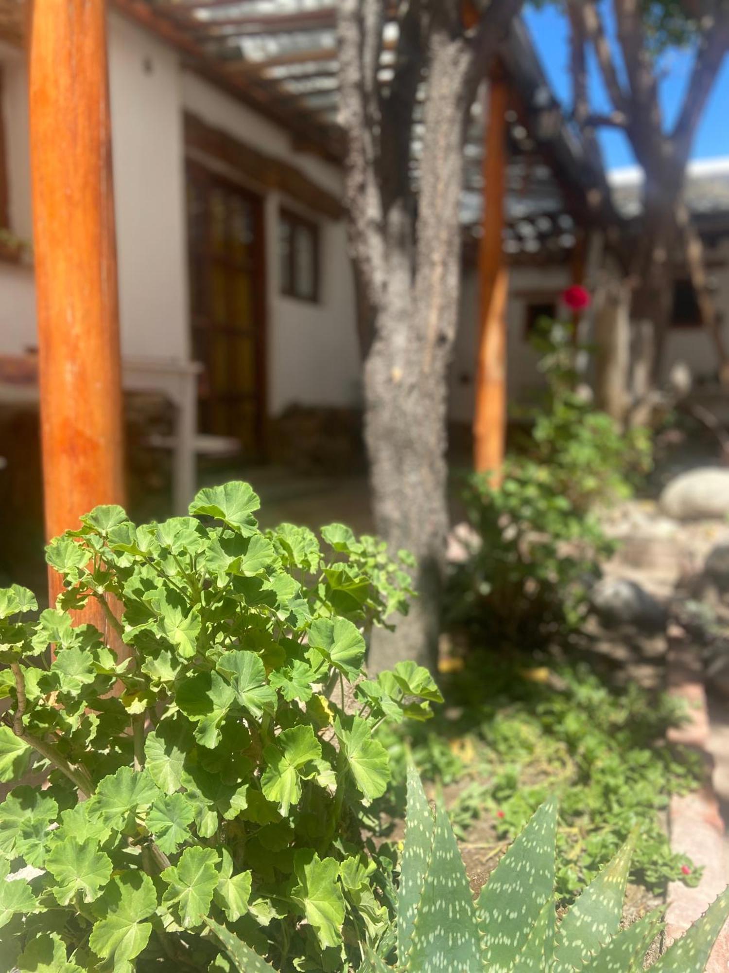 Hostal Tierra Andina Cafayate Esterno foto